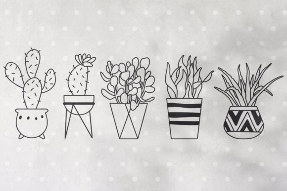 Floral Boho Cactus: A Versatile Digital Design