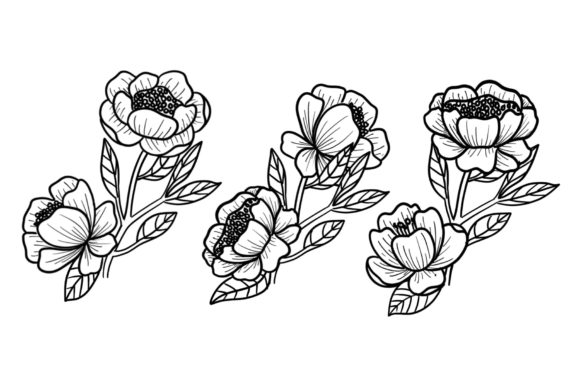 The Creative Power of Floral Handrawn Clipart PNG