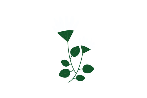 Understanding Boho Color Floral Plant Illustration-14