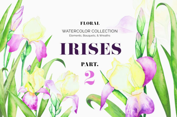 Unlocking Creative Potential with Irises. Watercolor Floral Set. Part 2